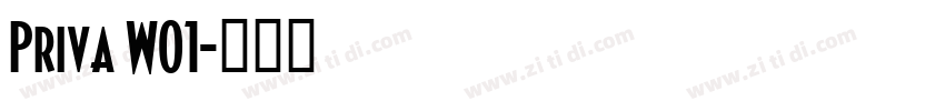 Priva W01字体转换